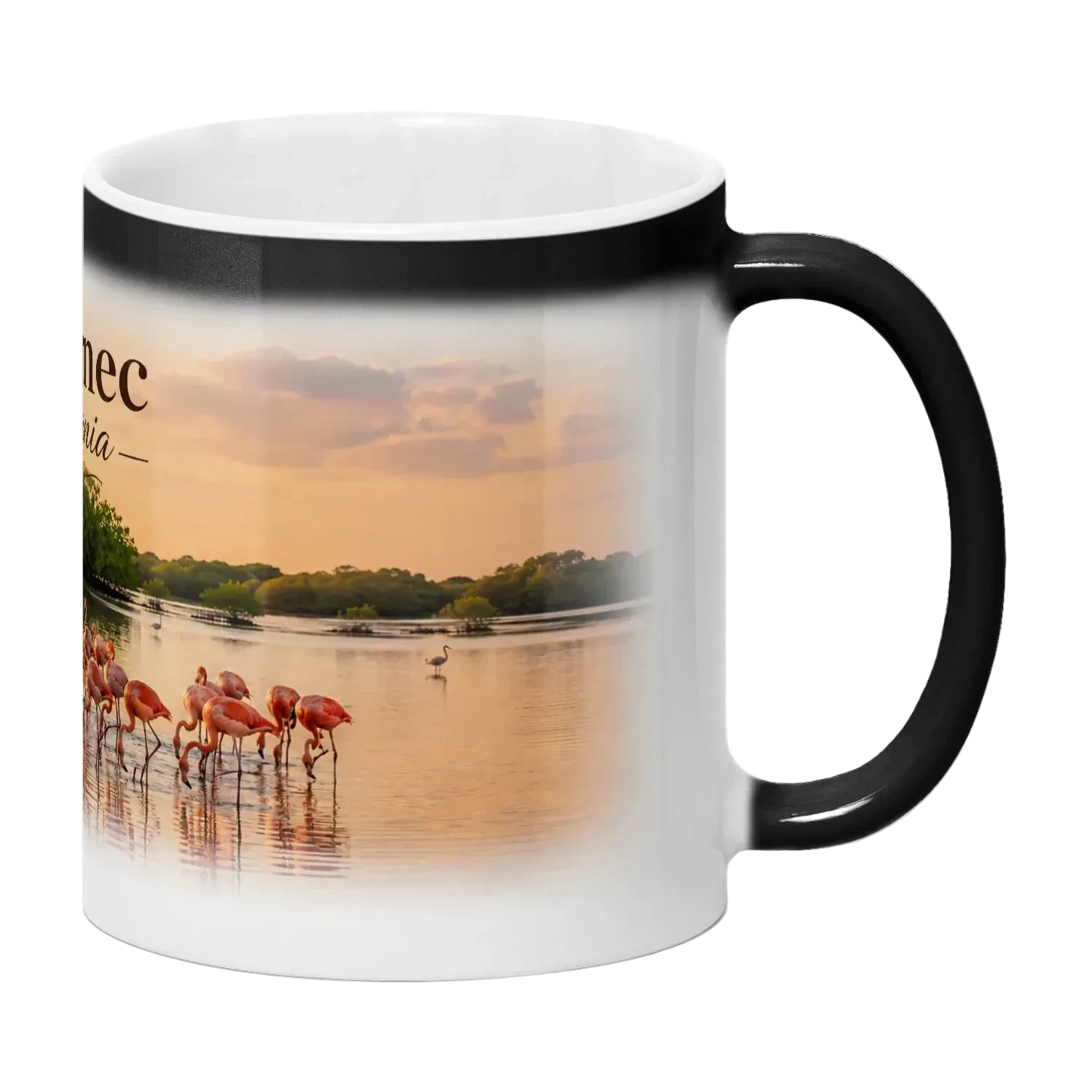 Zverneci heat-reveal ceramic mug, White - SupremX-Eagle