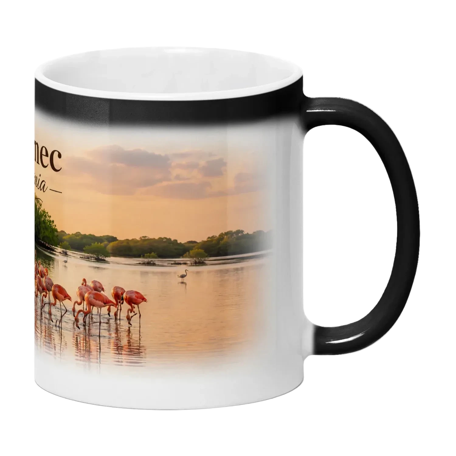 Zverneci heat-reveal ceramic mug, White - SupremX-Eagle